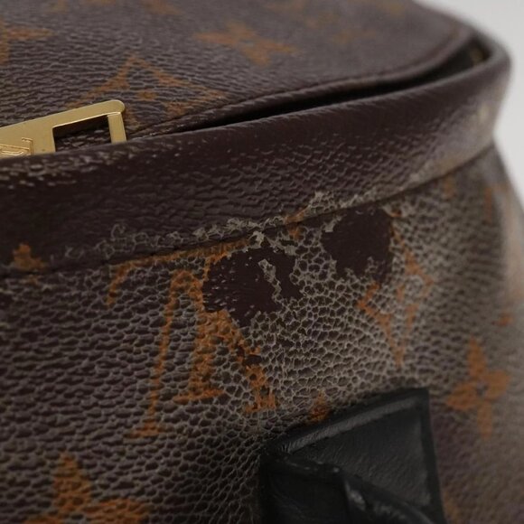 LOUIS VUITTON Monogram Palm Springs MM Backpack - Picture 7 of 16